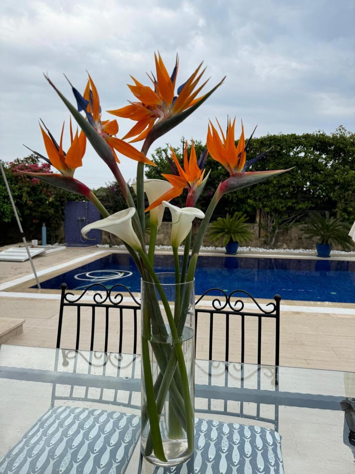 Вилла Casa Santos Kyrenia Кирения Экстерьер фото